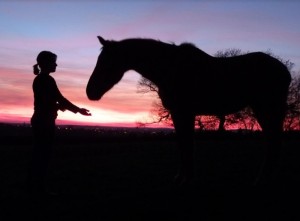 Les poneys de Monthury participent au télethon (Gourdon)