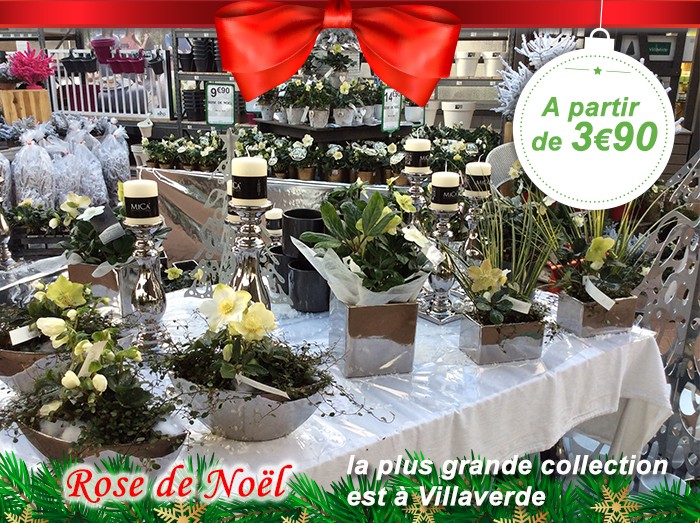 villaverde-noel-photo4a 0112174