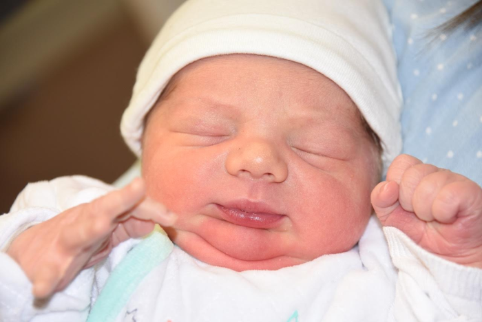 bebe gabin 1801182