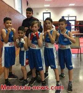 Boxe Anglaise (Montceau)