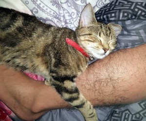 Disparue aux Rompois à Blanzy