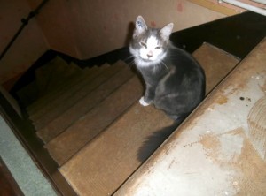 Disparu à Blanzy