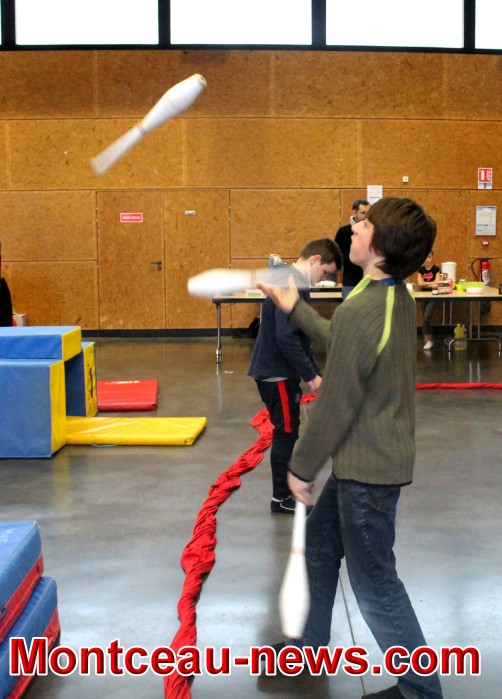fjep 2201183