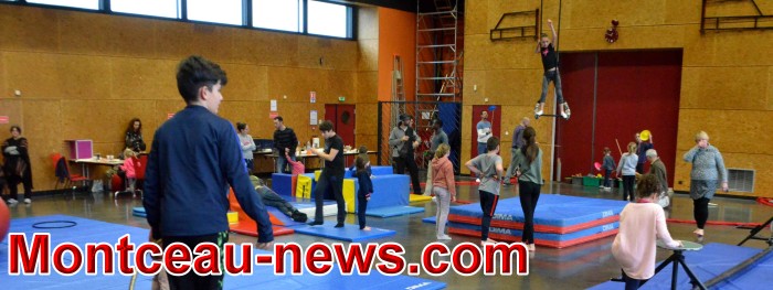 fjep 22011835