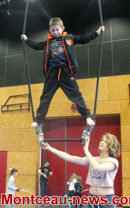 fjep 2201184