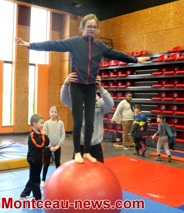 fjep 2201186