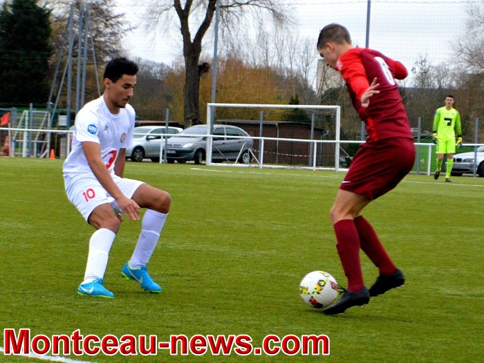 foot 29011815