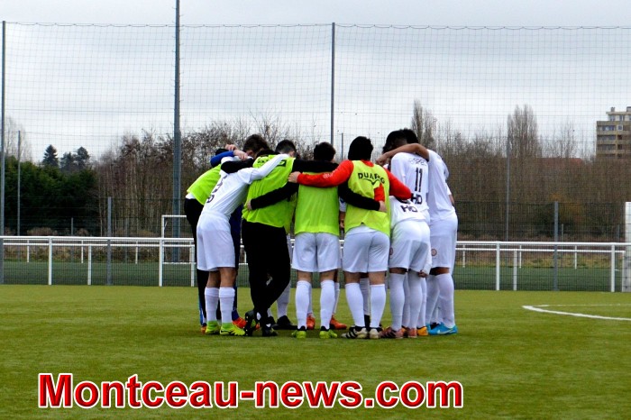 foot 29011816
