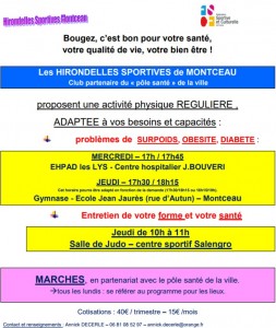 Hirondelles Sportives de Montceau (Gym)