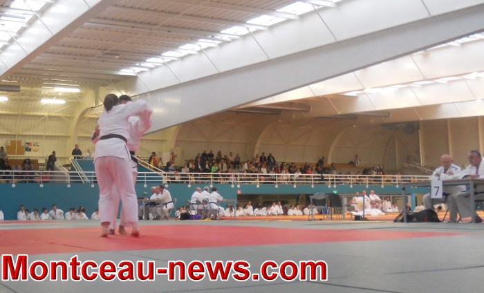 judo 27011829