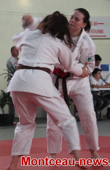 judo 27011833