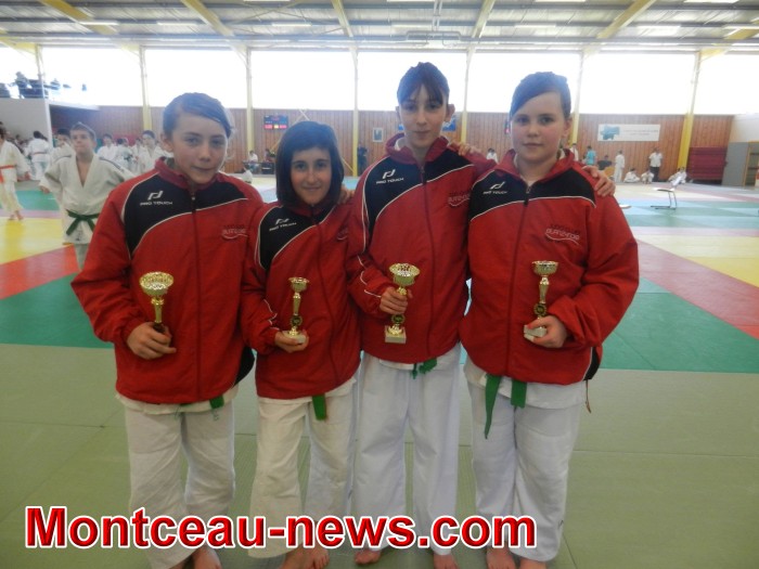 judo 27011857
