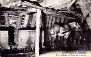 Nouvelle rubrique (16)