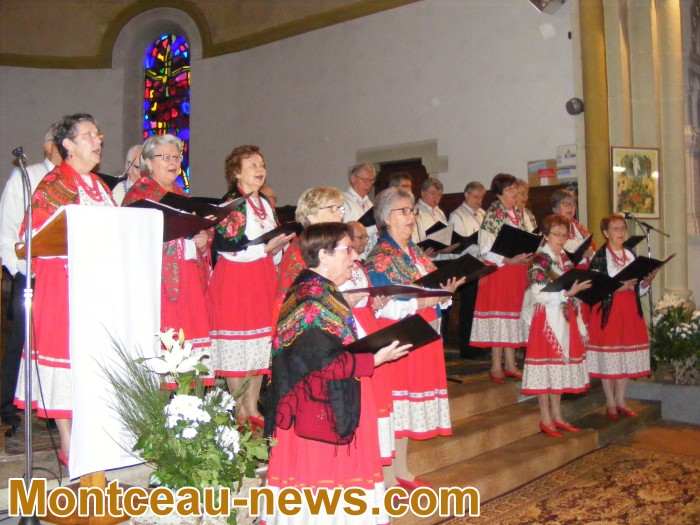 polonia 08011811