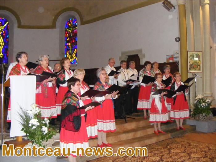 polonia 08011814