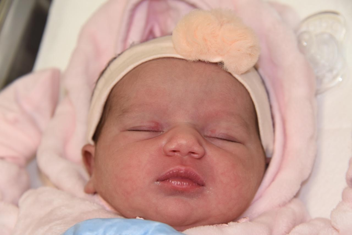 bebe celia 1702182