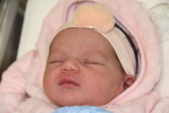 bebe celia 1702183