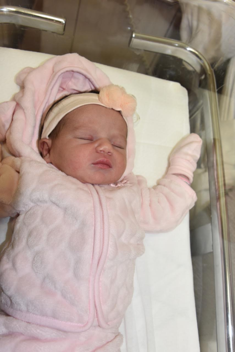 bebe celia 1702184