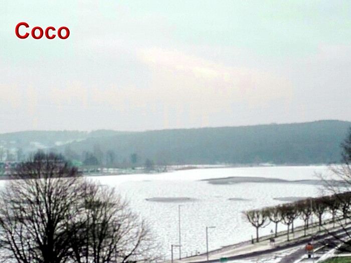 coco 280218