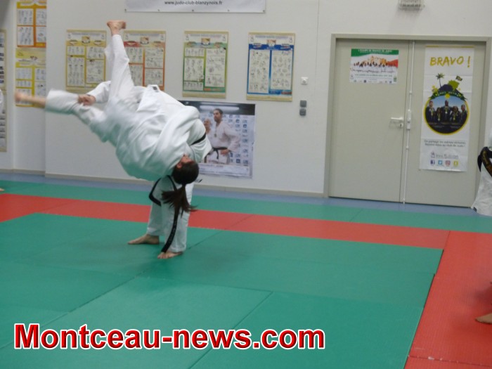 judo 17021813
