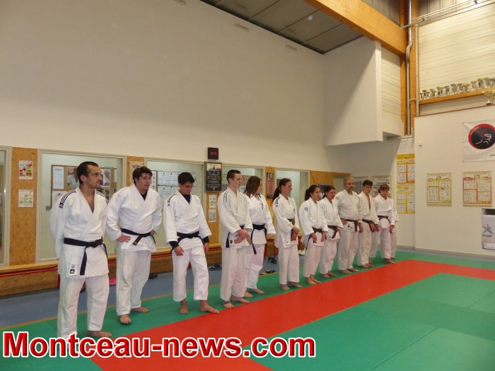 judo 17021833