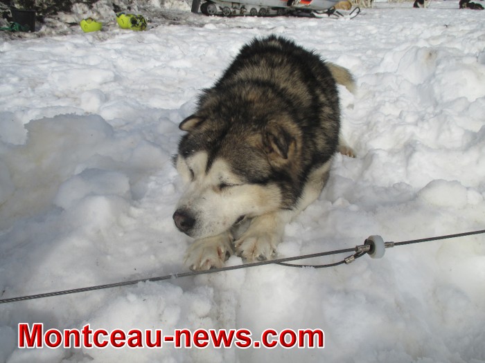 neige 0102184
