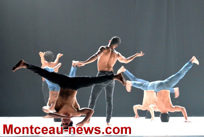 DANSE 01031855