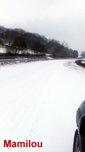 Nos lecteurs ont toujours le bon reflex(e)