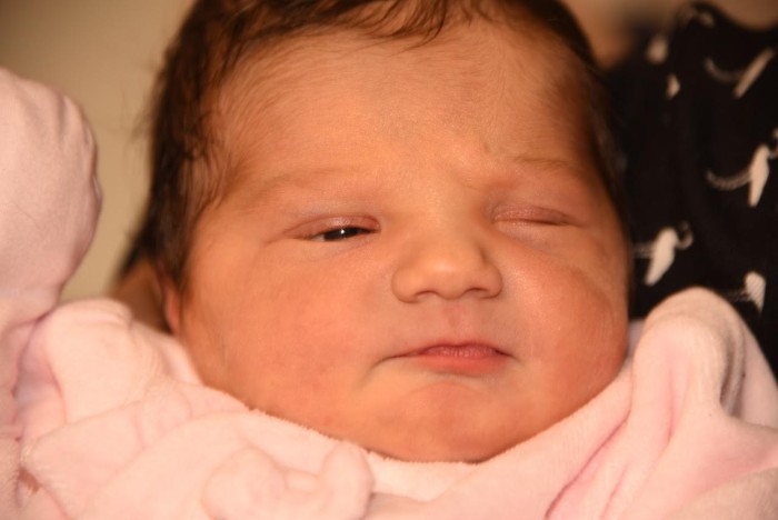 bebe niobe 1303182