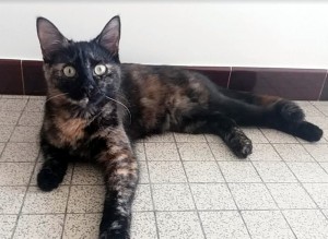 Disparu à Blanzy
