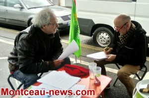Europe Ecologie Les Verts (Montceau-les-Mines)