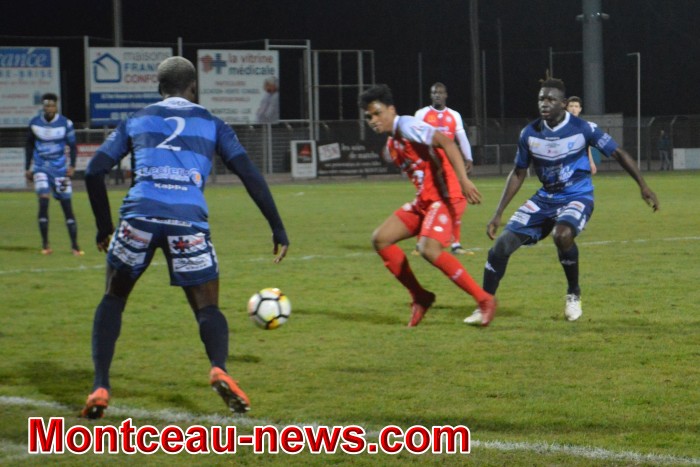 foot 11031816