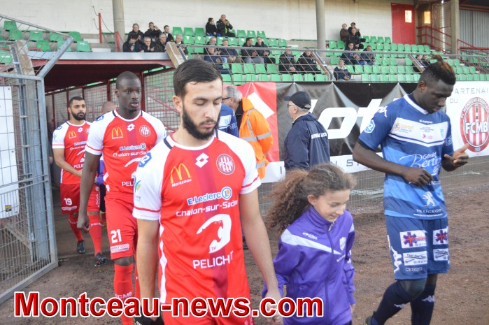 foot 1103185