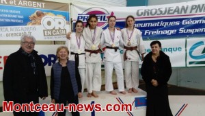 Etoile Sportive de Sanvignes (Gym)
