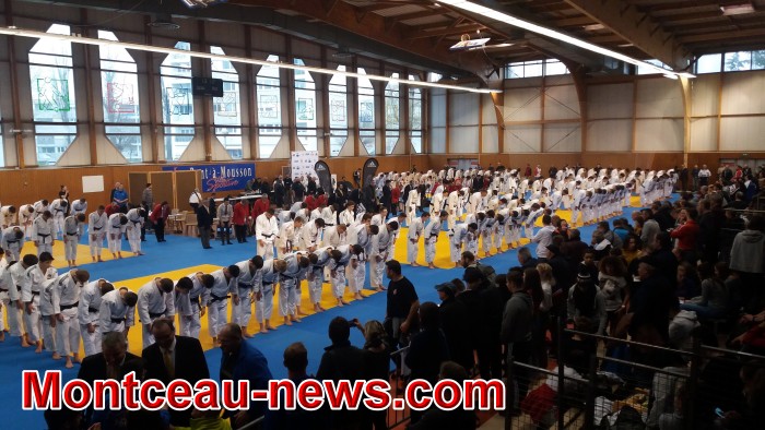 judo 1903189