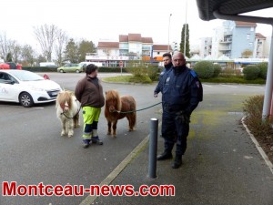 Faits divers (Montceau)