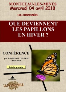 Que deviennent les papillons en hiver ?