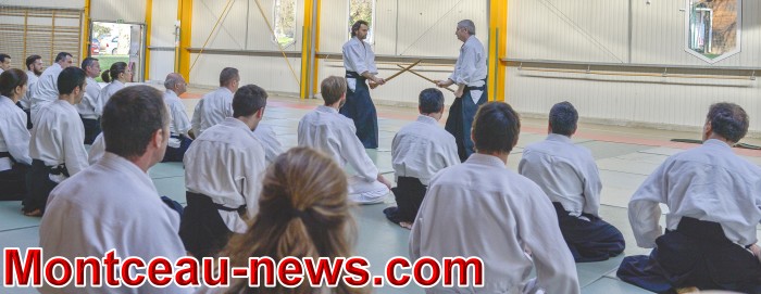 Aïkido art martial de self défense traditionnel dojo aikido bourg en Bresse 01 photos de technique de cet art martial sous la direction d'Alain Peyrache shihan  fédération epa ista