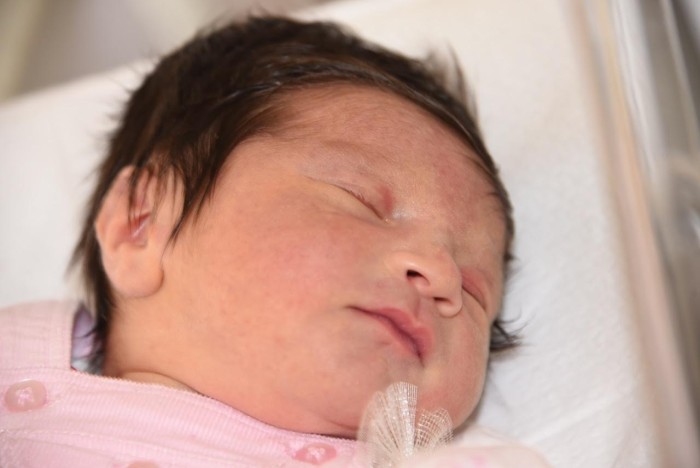 bebe elsa 0604182
