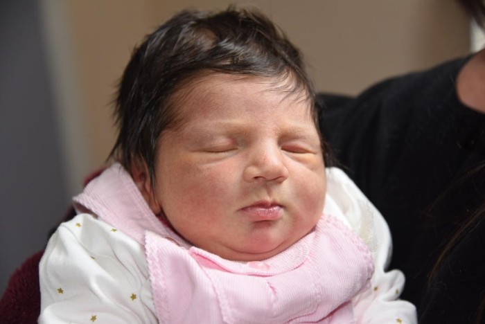 bebe elsa 0604183