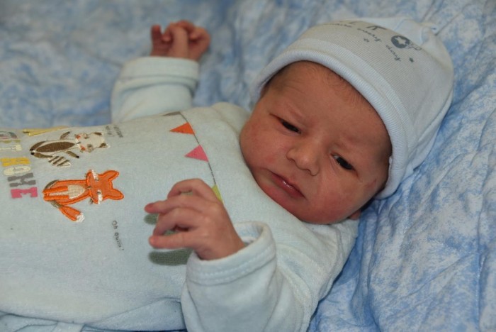bebe thimao 1104187