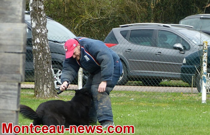 chien 08041810