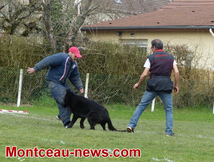 chien 08041811