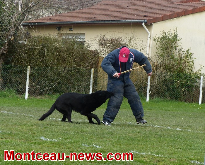 chien 08041812