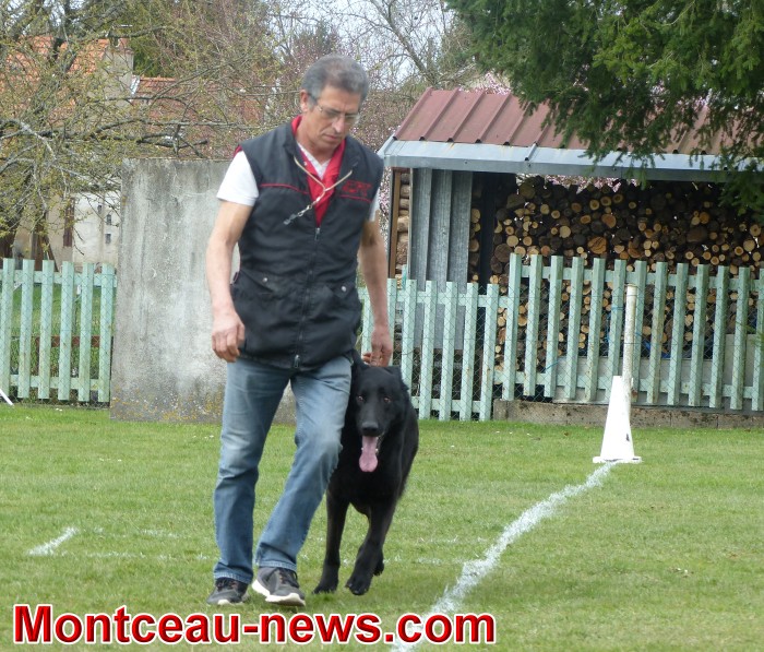 chien 08041815