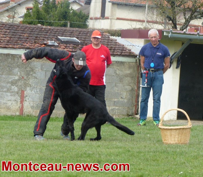 chien 0804184