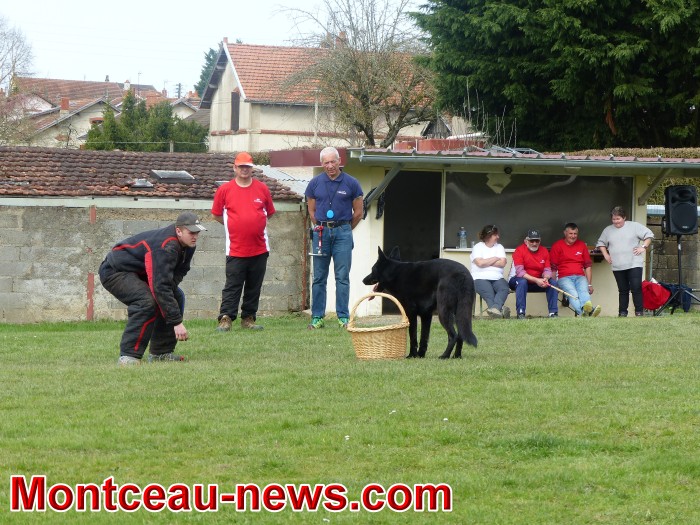 chien 0804185