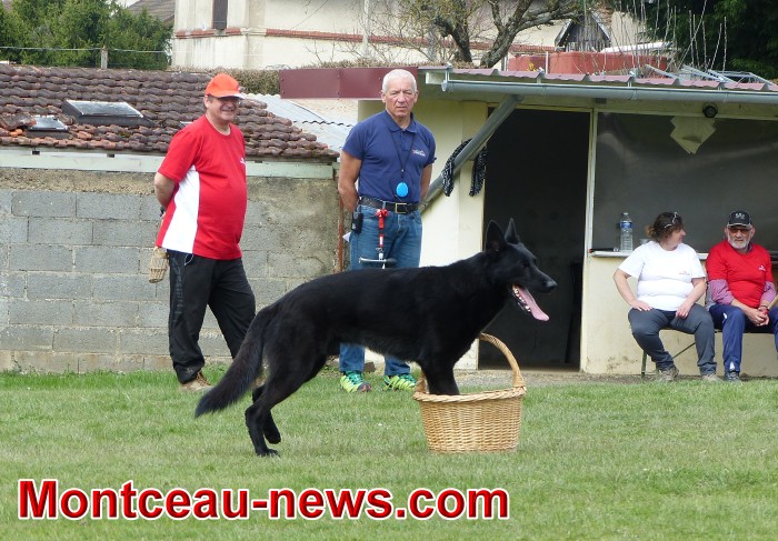 chien 0804186