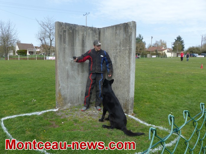 chien 0804188
