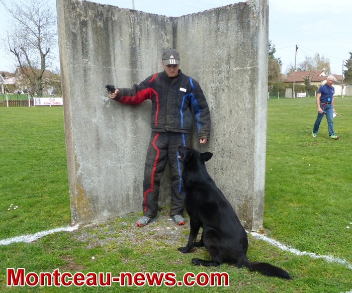 chien 0804189